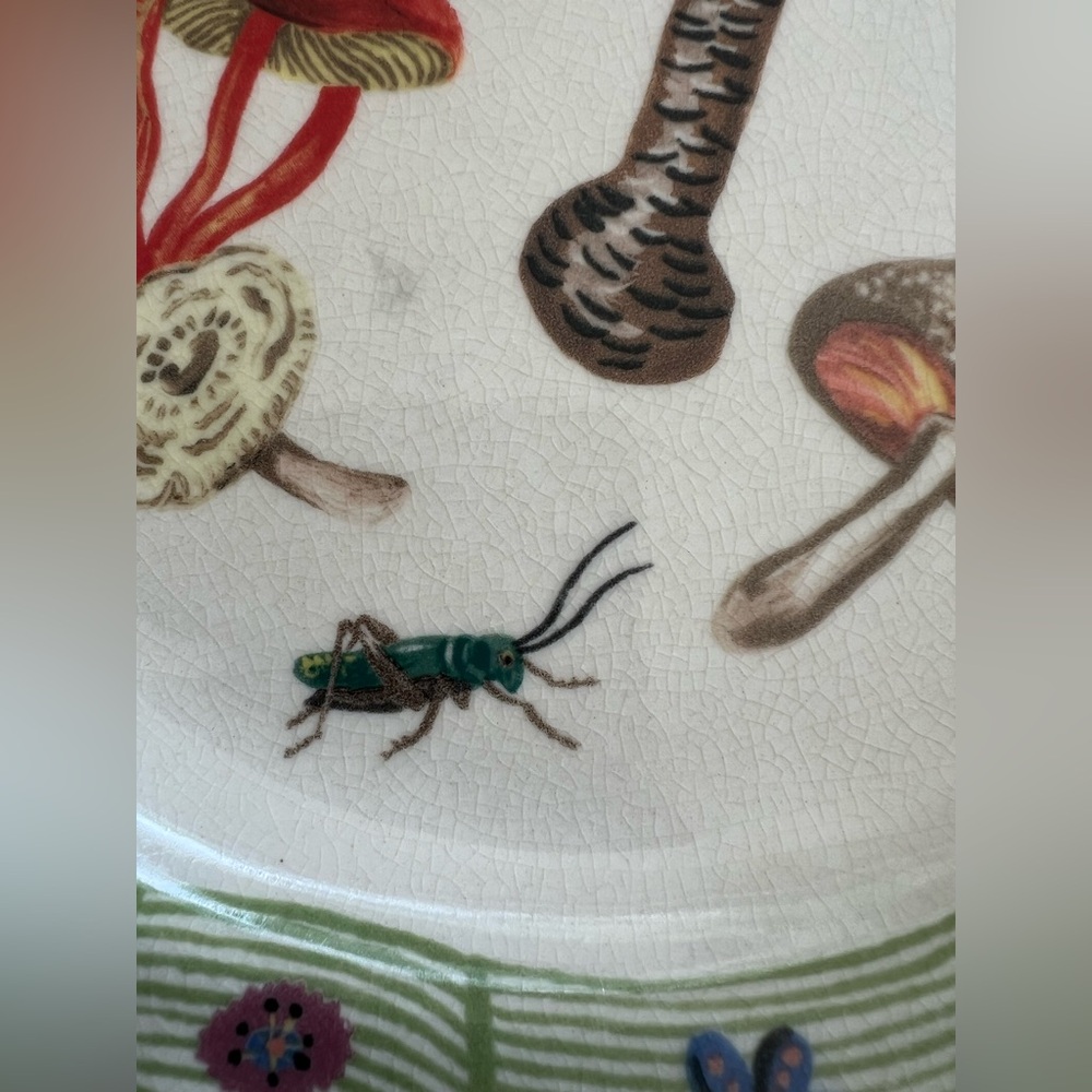 Anthropologie Mushrooms Cricket Dinner Plate rare discontinued nathalie ete euc - Picture 6 of 6